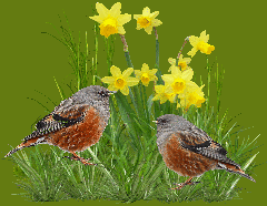 ❤️ Bonne et heureuse année à tous on continuera la route ensemble en 2020 et merci pour vos beau cadeaux