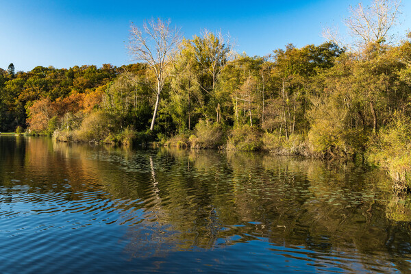 Le lac Mouriscot