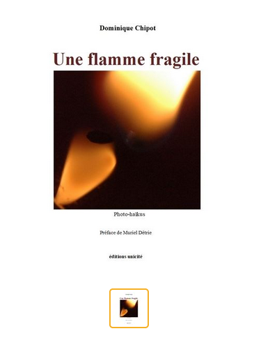 parution...   une flamme fragile  