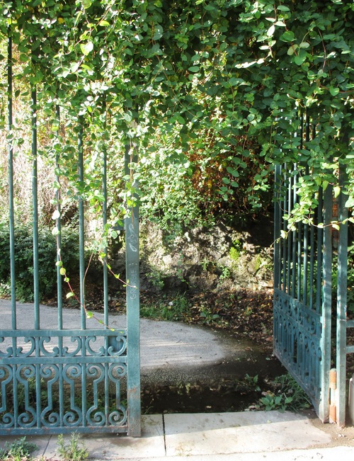 Le jardin de la Colline Puget à Marseille  