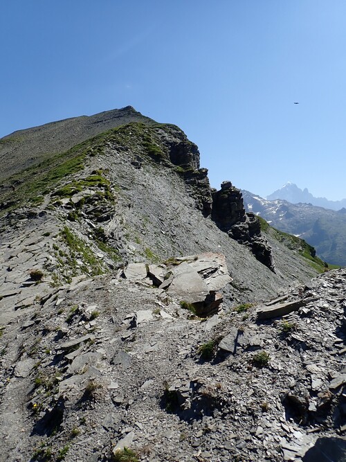 Col d'Anterne (Tête de Moëde)