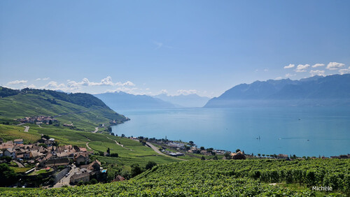 Les terrasses du Lavaux 