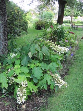 Le jardin public de Mimizan en juillet