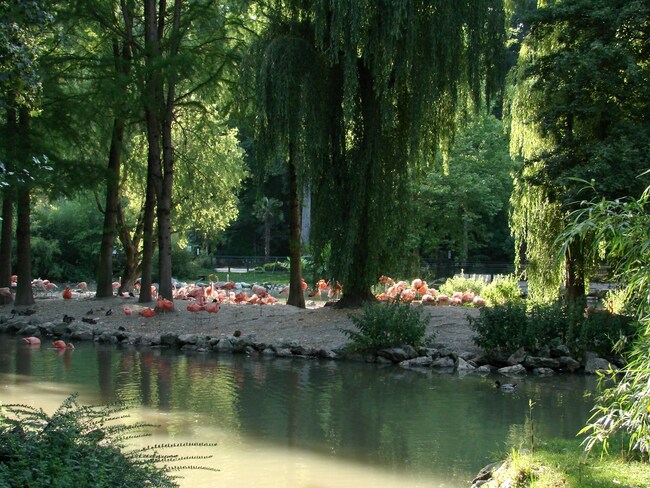 Zoo de Beauval.