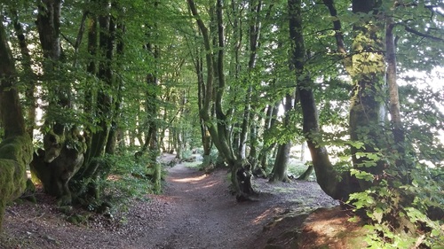 L'ASCENSION DU MONT BEUVRAY