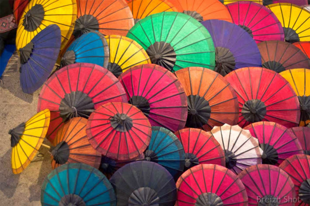  parasols en papier de Luang Prabang