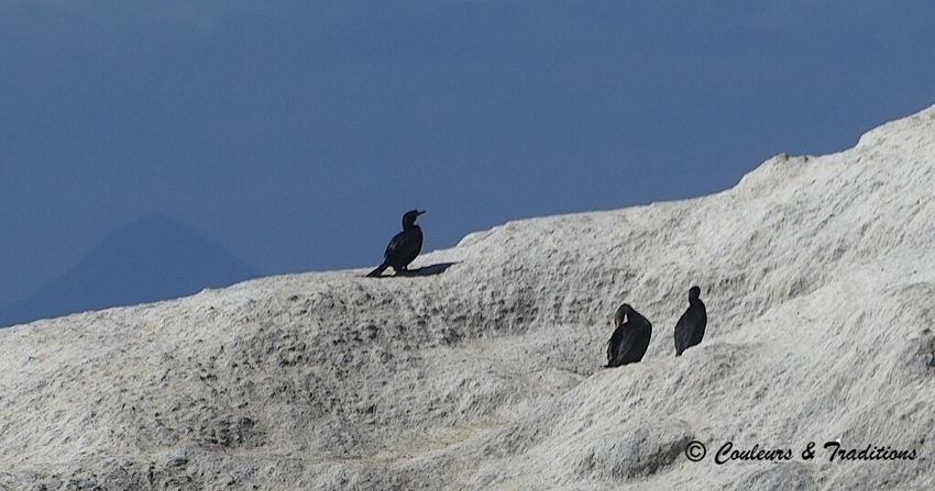 Petite crique, à proximité de Boulders Beach