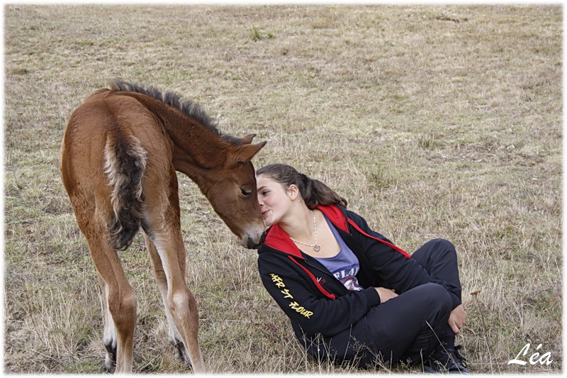 Poulain moment tendresse!!!