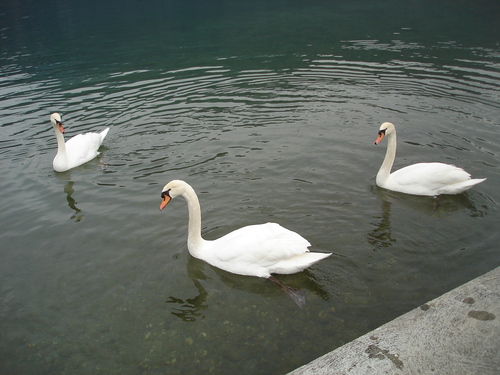 lac d'Anneçy
