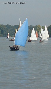 journées de l'Erdre 2011 14