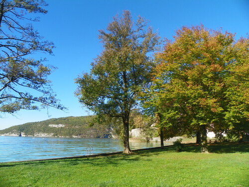 Balade au bord du lac à Duingt ( 1 )