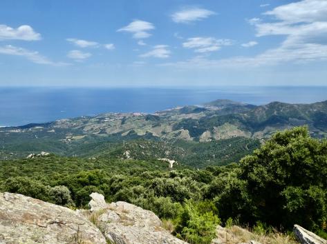 Peut être une image de nature, ciel, arbre et montagne