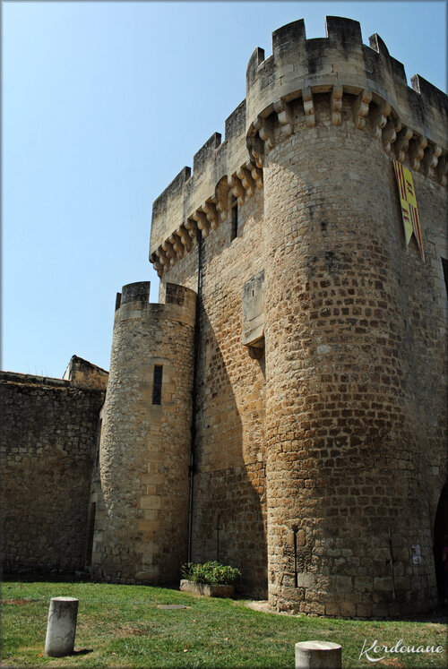 Photo de la porte du Lhyan - Rions - Gironde