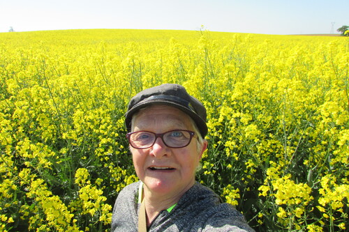        -   ma marche ce matin dans ma campagne