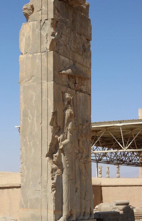 Persépolis (4)