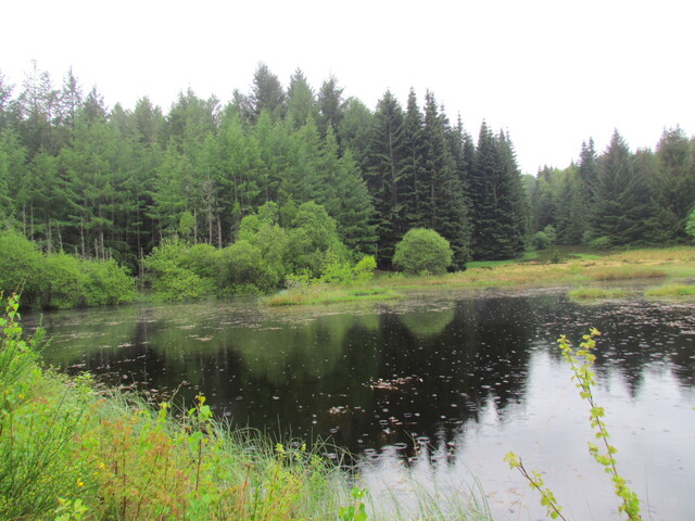 RANDONNEE A L' ETANG DE CHABANNES . BUGEAT .