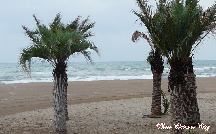 Narbonne Plage (11) : Le matin