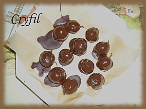 raisin-au-chocolat-2.JPG