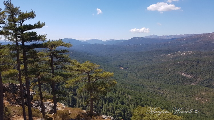 Corse : Aiguilles de Bavella 2/2