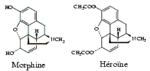 3) Interactions de la molécule de morphine :