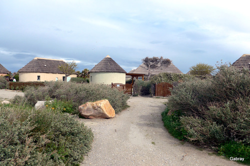 Le Barcarès : les maisons des pêcheurs