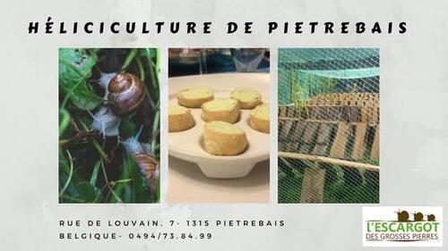 Ferme hélicole L’escargot des Grosses Pierres