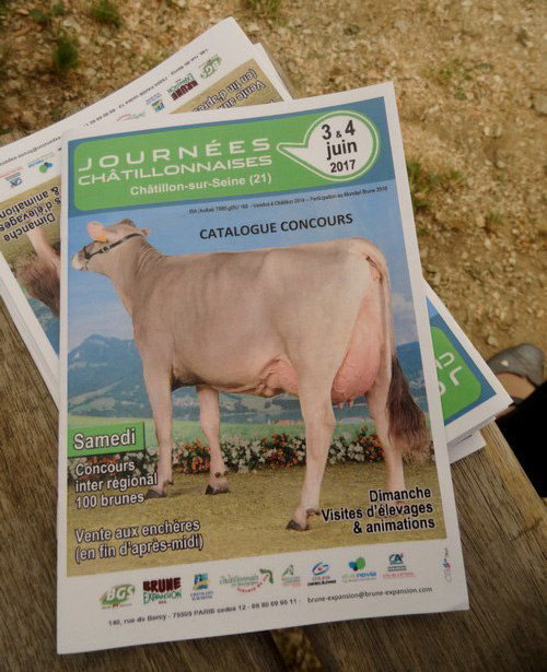 Les animaux aux Journées Châtillonnaises 2017