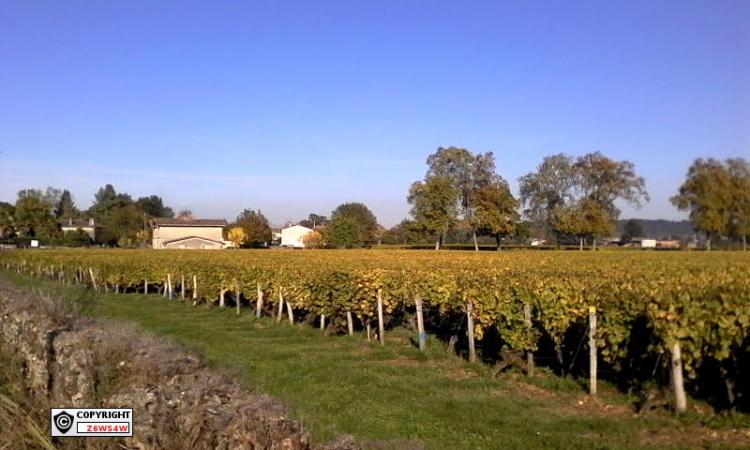 Sauternes (Gironde),ces vignobles ,son paysage ,magnifique et belle balade ou l'automne commence a venir