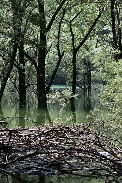 2018.05.20 Lac de Bouvante (Drôme) 1