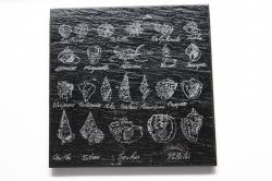 Dessous de verres