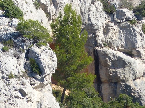 Col de la Selle