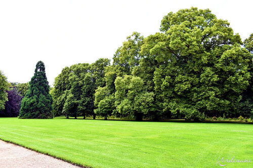Photos des parcs et jardins du château de Cheverny
