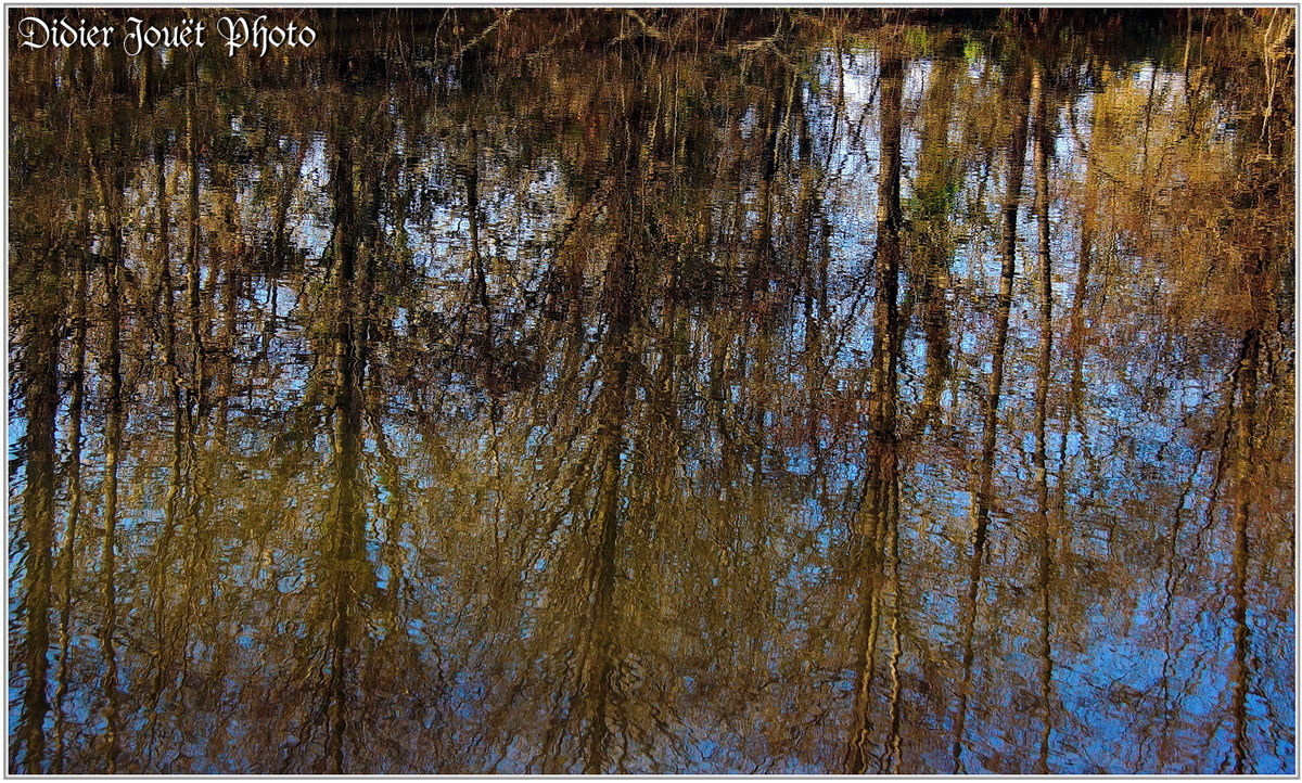 Reflets (1)