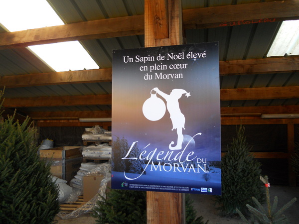 Le morvandiau Eulglod nous présente une culture-phare de sa région : le sapin...de Noël