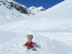 mascotte en montagne
