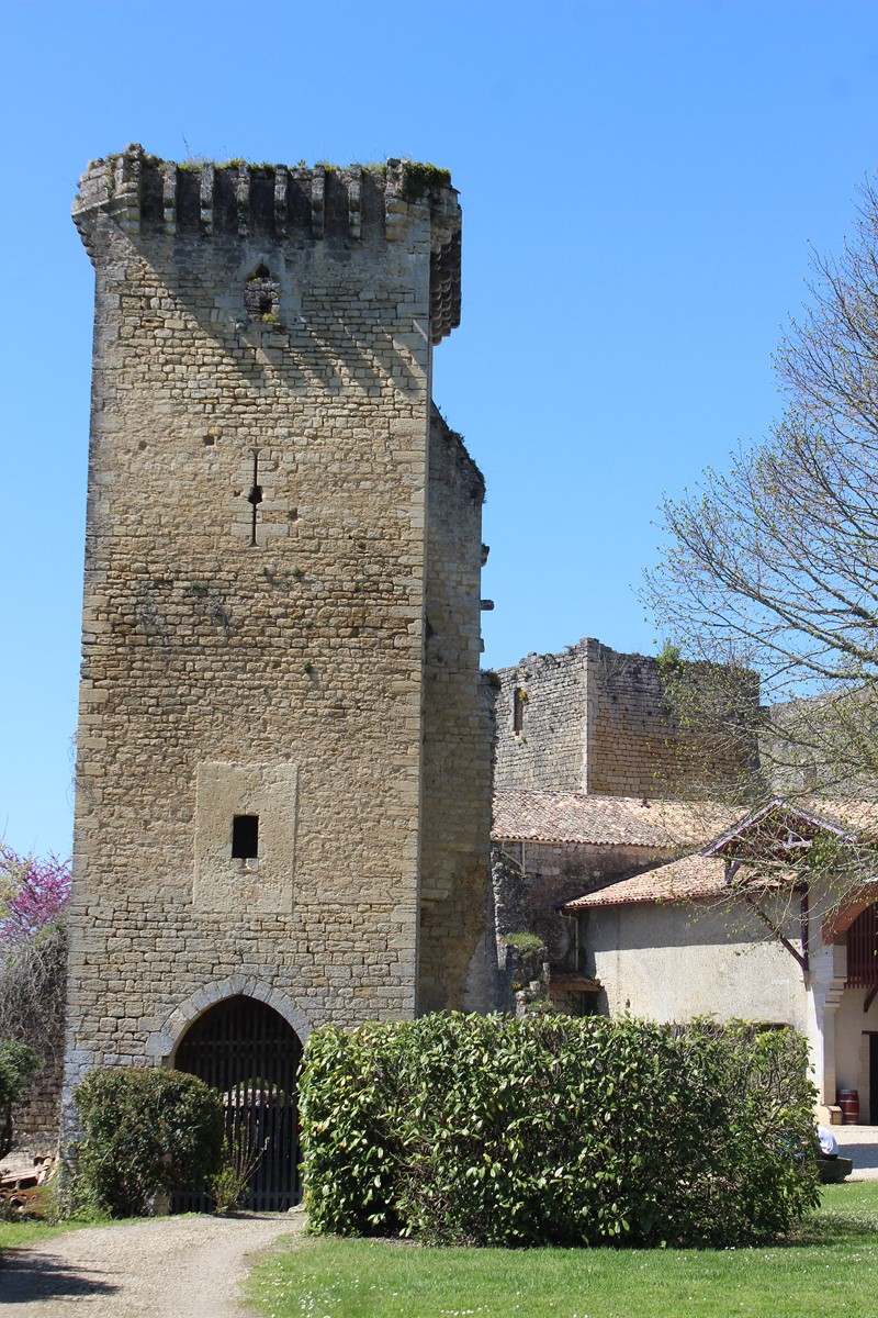 Le Château Vieux de Roquetaillade