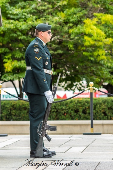 Province de l’Ontario : Ottawa relève des sentinelles