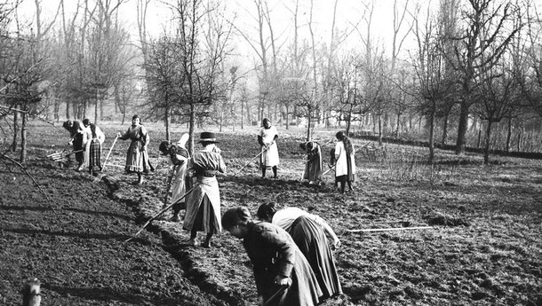 Désormais les femmes étaient obligées de prendre en main tous les travaux des champs, même les plus durs.