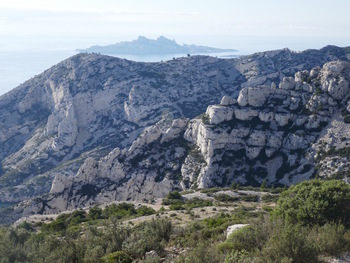 Zoom sur l'île Riou