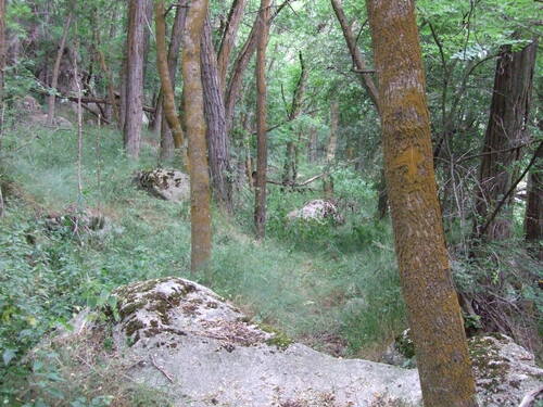 Mission  Carabus entre l’Ariège et les Pyrénées Orientales en 2015