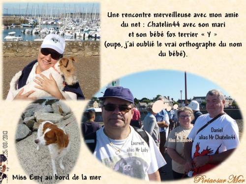 aux merveilleuses rencontres