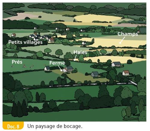 Une région agricole - La Bretagne