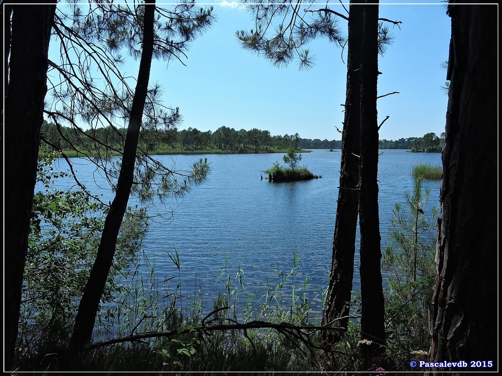 Autour du lac du Bousquey - Juin 2015 - 2/6