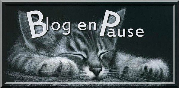 Blog en pause