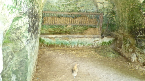 Les maisons troglodytiques 