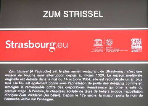 Visite des Musées du Palais Rohan à Strasbourg