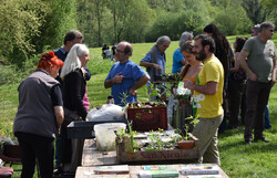 Troc de plants de Vouneuil-sous-Biard le 22 avril 2018