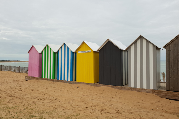 Sur la plage, avec les Bécasseaux