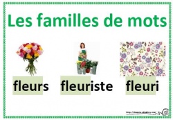 Les familles de mots