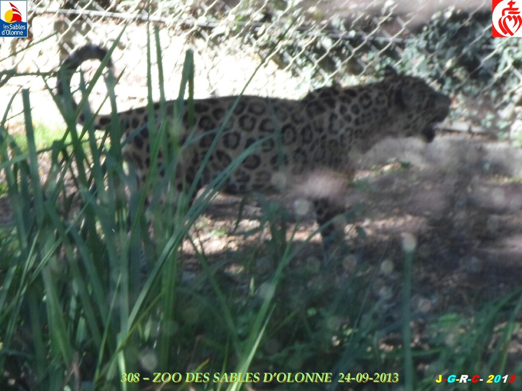 ZOO DES SABLES D'OLONNE 9/9 08/04/2014